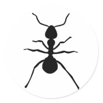 big black ant icon round stickers