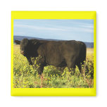 Big Black Bull Pretty Wildflowers - Toro - Taurus Magnets