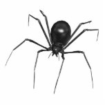 Big Black Creepy 3D Spider photo sculptures