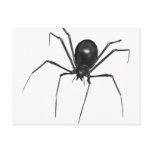 Big Black Creepy 3D Spider