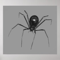 Big Black Creepy 3D Spider