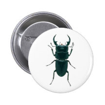 Big Black Dung Beetle Button