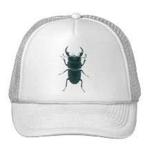 Big Black Dung Beetle Hat