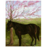 Big Black Horse and A Cherry Tree t-shirts