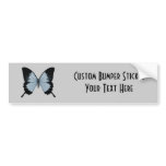 Big Blue & Black Butterfly