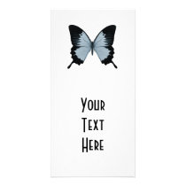 Big Blue & Black Butterfly