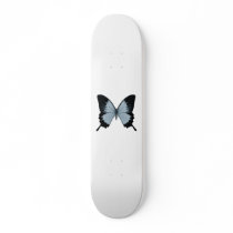 Big Blue & Black Butterfly