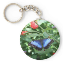 Big Blue Butterfly 2