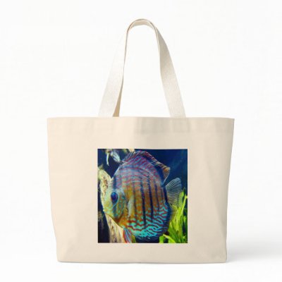 Big blue eyes, hanging out on a beach bag by design_girl