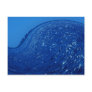 Big blue Wave Postcard
