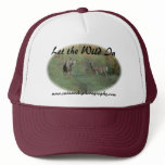 Big Boys Club hat