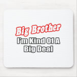 Big Brother...Big Deal