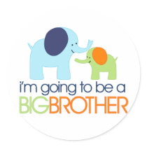 Big Brother Elephant T-shirt