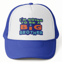 Big Brother