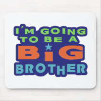 Big Brother