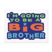 Big Brother