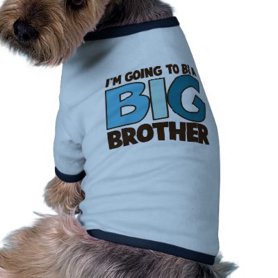 big brother t-shirt dog tee shirt by zoeysattic
