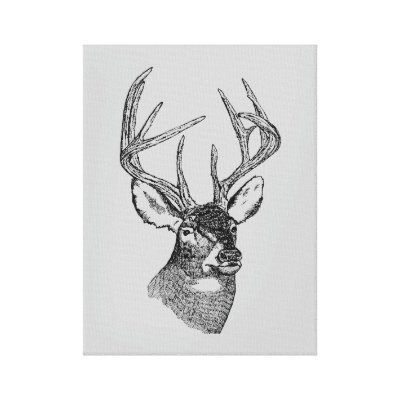 BIG BUCK GALLERY WRAPPED CANVAS by OutdoorAddix
