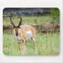 Big Buck Mouse Pads