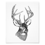 BIG BUCK PHOTO