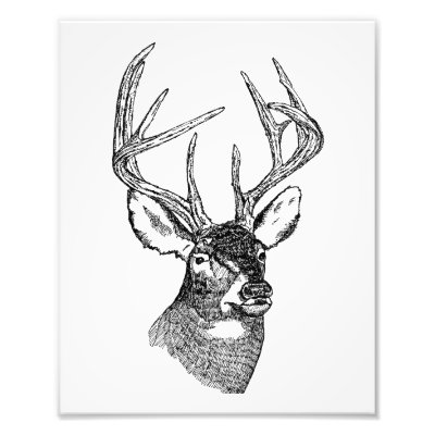 BIG BUCK PHOTO by OutdoorAddix
