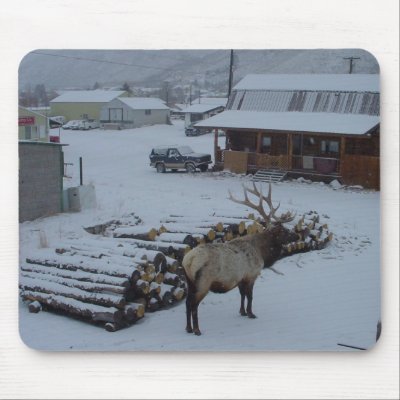 Big Bull Elk Gardner, Montana Mousepad by WabiEagle