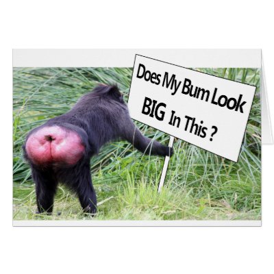 Big Bum Sign with Monkey Photo Greeting Cards by Mreco99