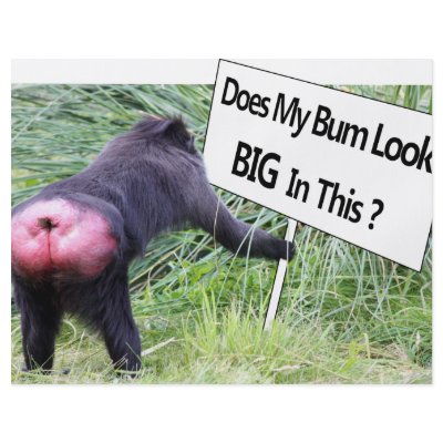 Big Bum Sign with Monkey Photo Flyer by Mreco99