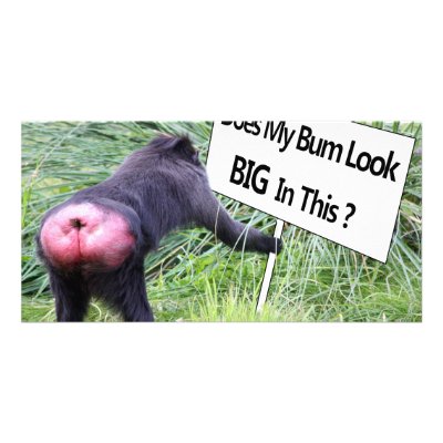 Big Bum Sign with Monkey Photo Personalized Photo Card by Mreco99