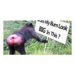 Big Bum Sign with Monkey Photo photo cards