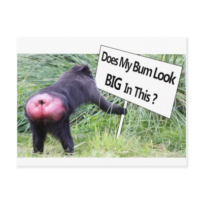 Big Bum Sign with Monkey Photo Postcards by Mreco99