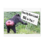 Big Bum Sign with Monkey Photo postcards