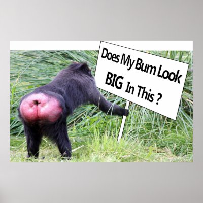Big Bum Sign with Monkey Photo Print by Mreco99