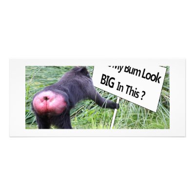 Big Bum Sign with Monkey Photo Custom Rack Card by Mreco99