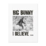 Big Bunny Post Cards