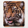 BIG CAT Bengal, Siberian Indian Tiger, MousePads