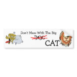Big Cat