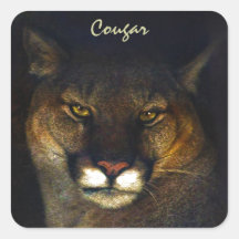 Big Cat Cougar Mountain Lion Art Design Stickers