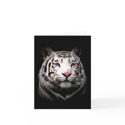 Big Cat Note Cards by RookyStudios