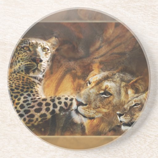 Big cat predator drinks drink coaster