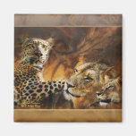 Big cat predator magnets