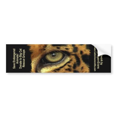 BIG CAT RESCUE Bumper sticker by RavenSpiritPrints