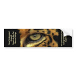 BIG CAT RESCUE Bumper sticker bumper stickers