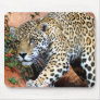 Big Cats - 10 Mouse Pad