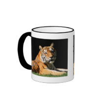 Big Cats  - 1 Coffee Mugs