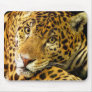 Big Cats  - 3 Mouse Mats