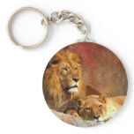 Big Cats - 6