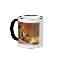 Big Cats - 6 Mugs