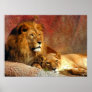 Big Cats - 6 Poster