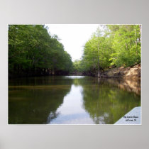 Big Cypress Bayou Print